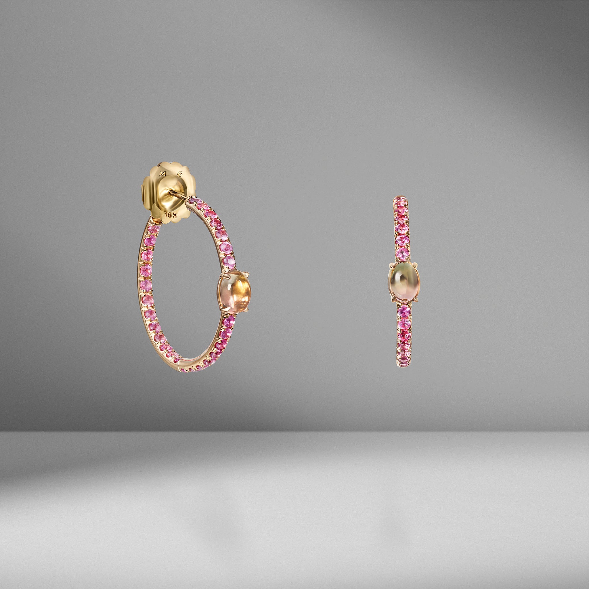 The Delphine Pav  Hoops