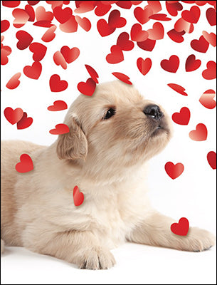Hearts and Puppies Valentine's Day Card Set-Freedomdaysales.com