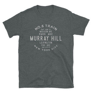 
                
                    Load image into Gallery viewer, Murray Hill Manhattan NYC Adult Unisex Grid Tee
                
            