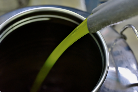 L'huile d'olive finale en sortie de presse