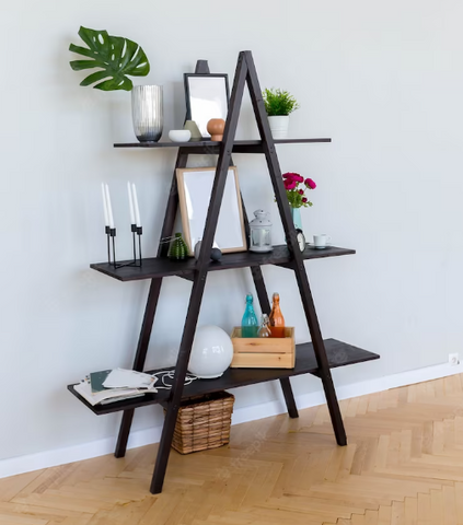 Ladder Shelves