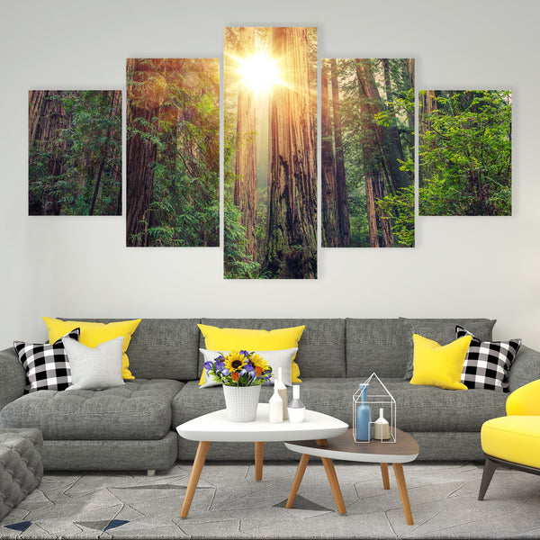 Sunny Redwood Forest California Canvas Wall Art - Tiaracle