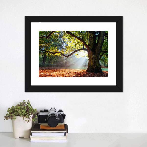 Mighty Oak Tree Canvas Wall Art - Tiaracle