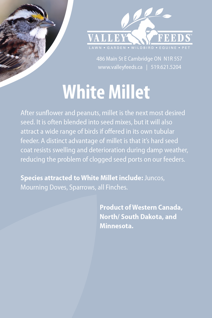 White Millet Valley Feeds