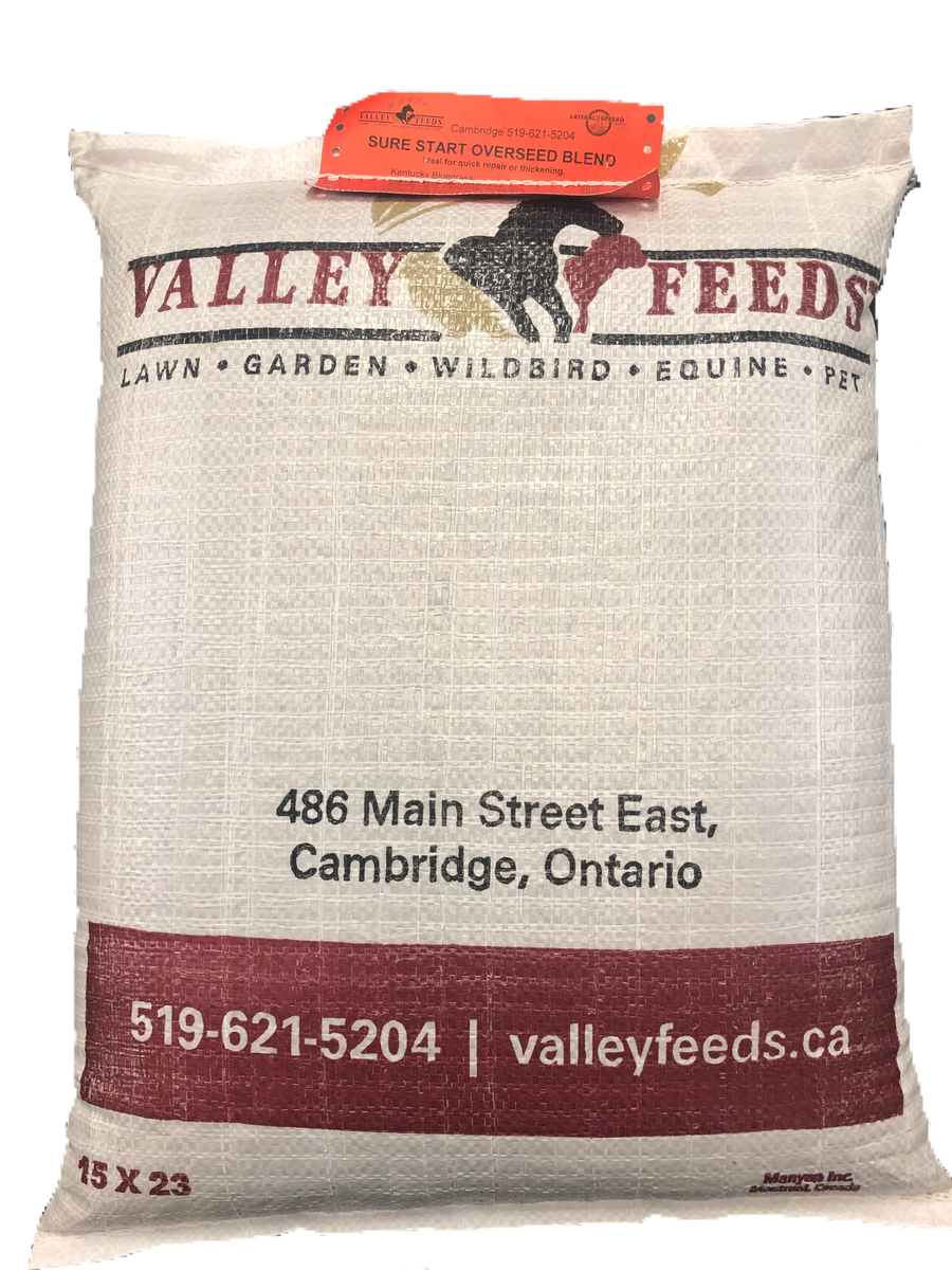 Sure Start Overseed Grass seed – Valley Feeds