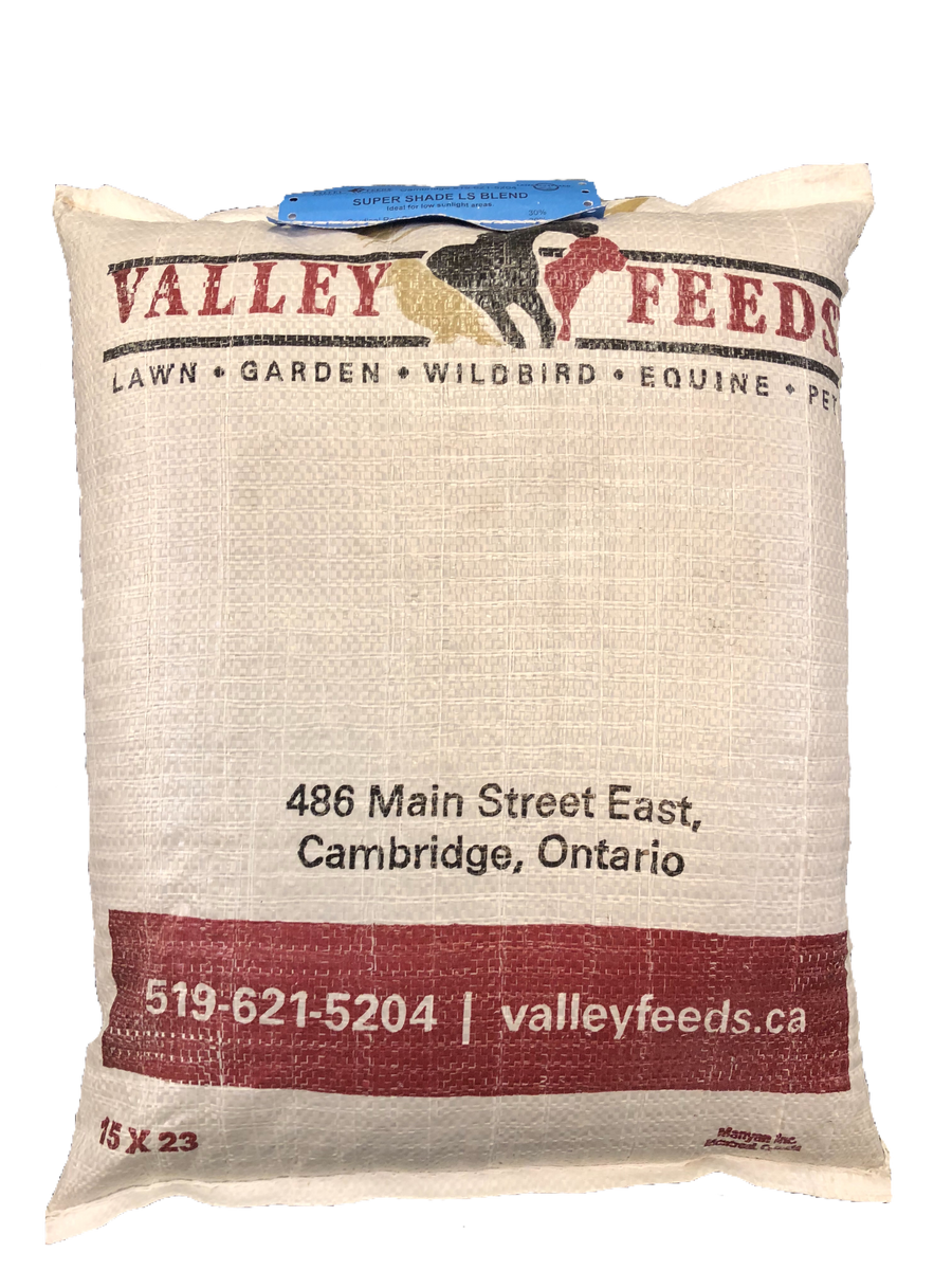 Super Shade Grass seed – Valley Feeds