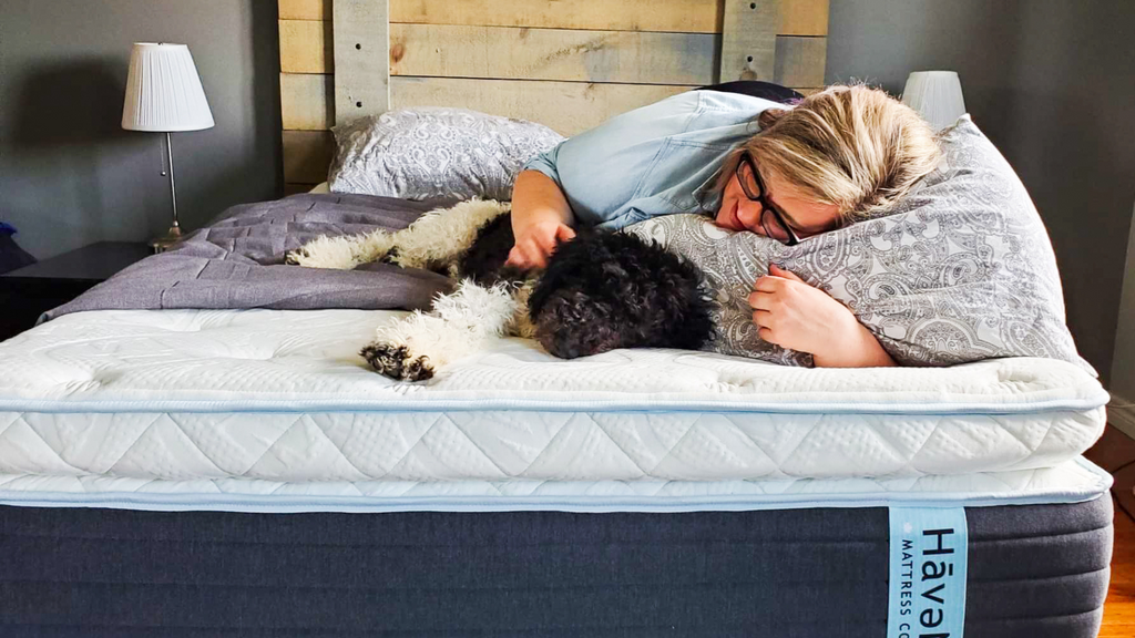 Femme et chien au lit, matelas, havre de sommeil