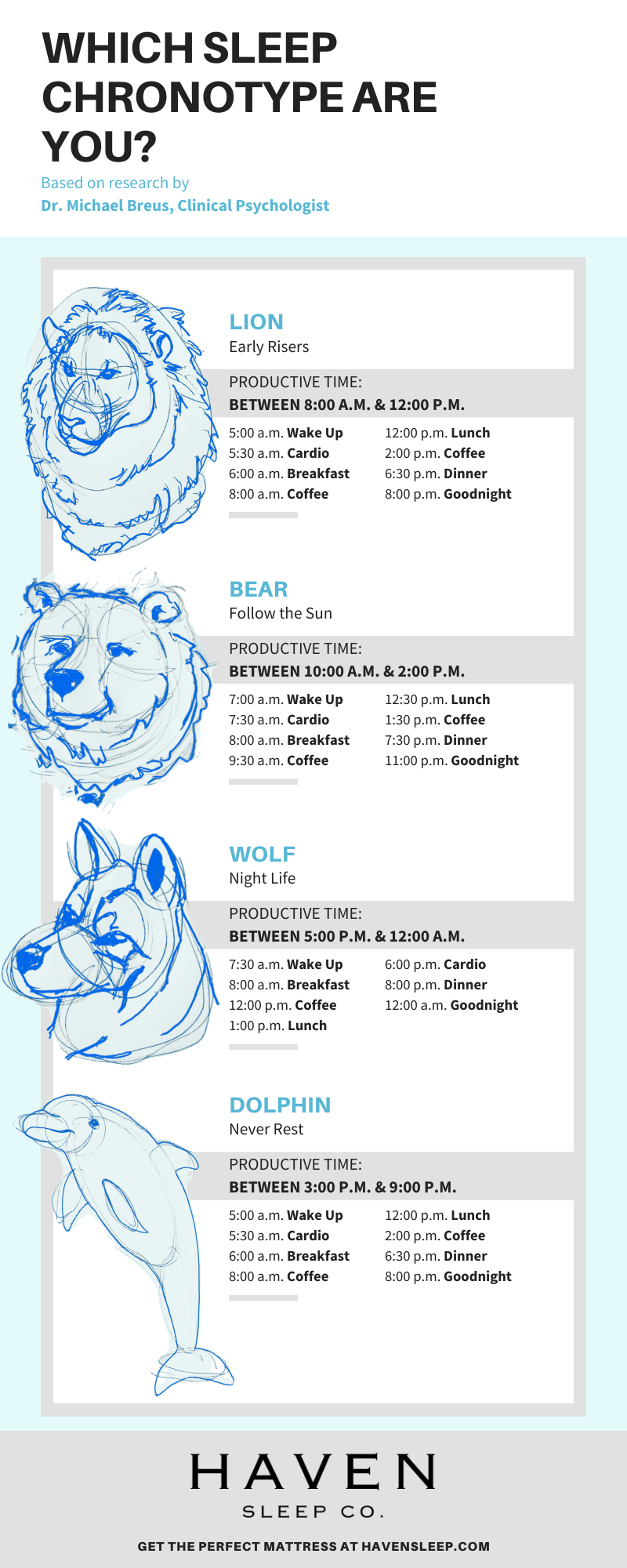 Optimal schedule for each sleep chronotype lion bear wolf dolphin peak productivity
