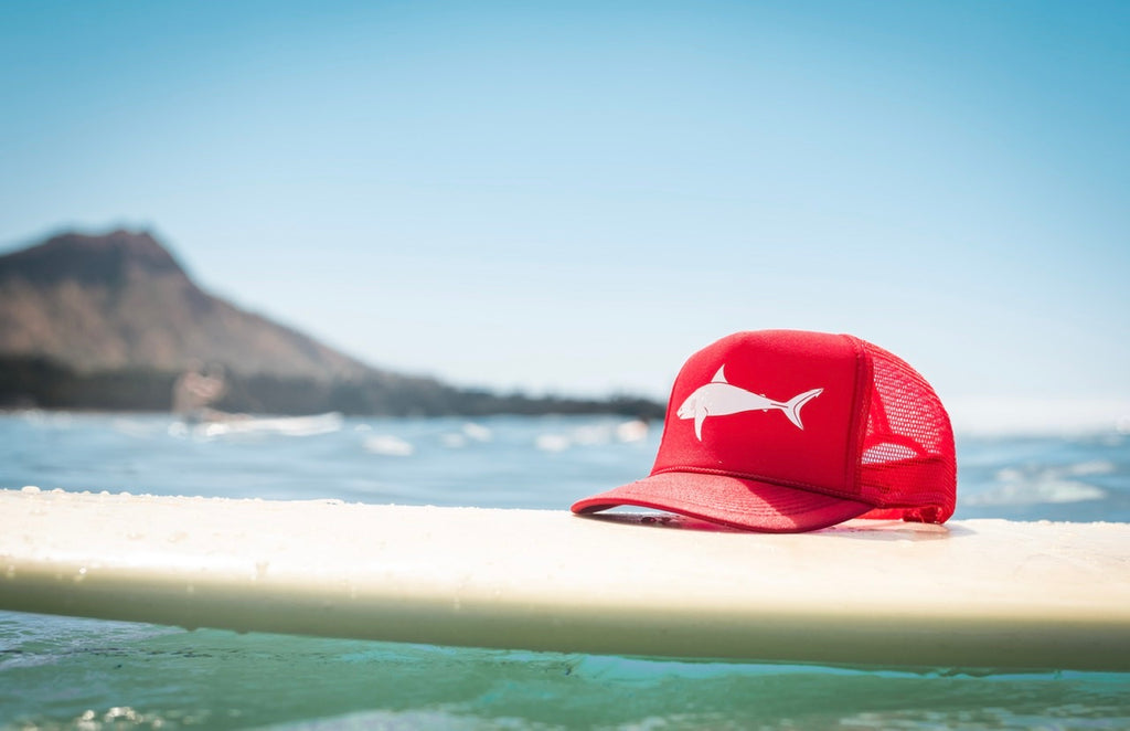 Sundot marine shark hat with diamond head in the background 