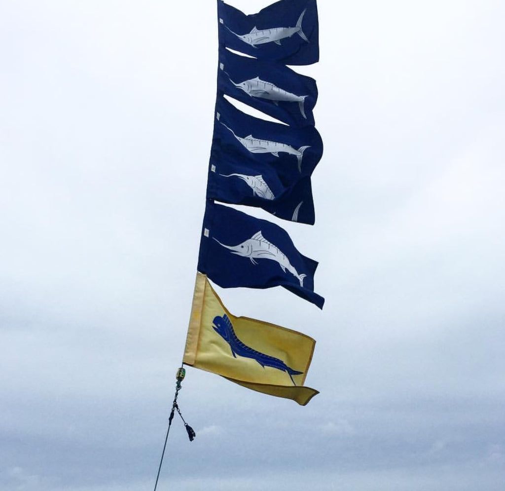 Simple and classic fish flag designs are recognized world wide