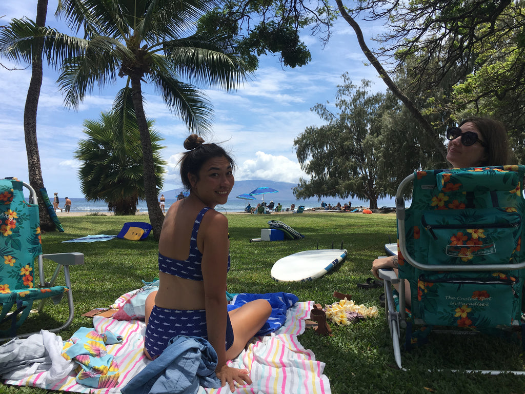 Sundot marine flags Ohana at Launiupoko Beach Park maui