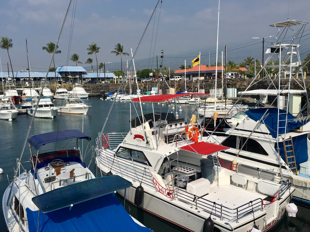 Mahi fish flag in honokohau harbor Kailua Kona