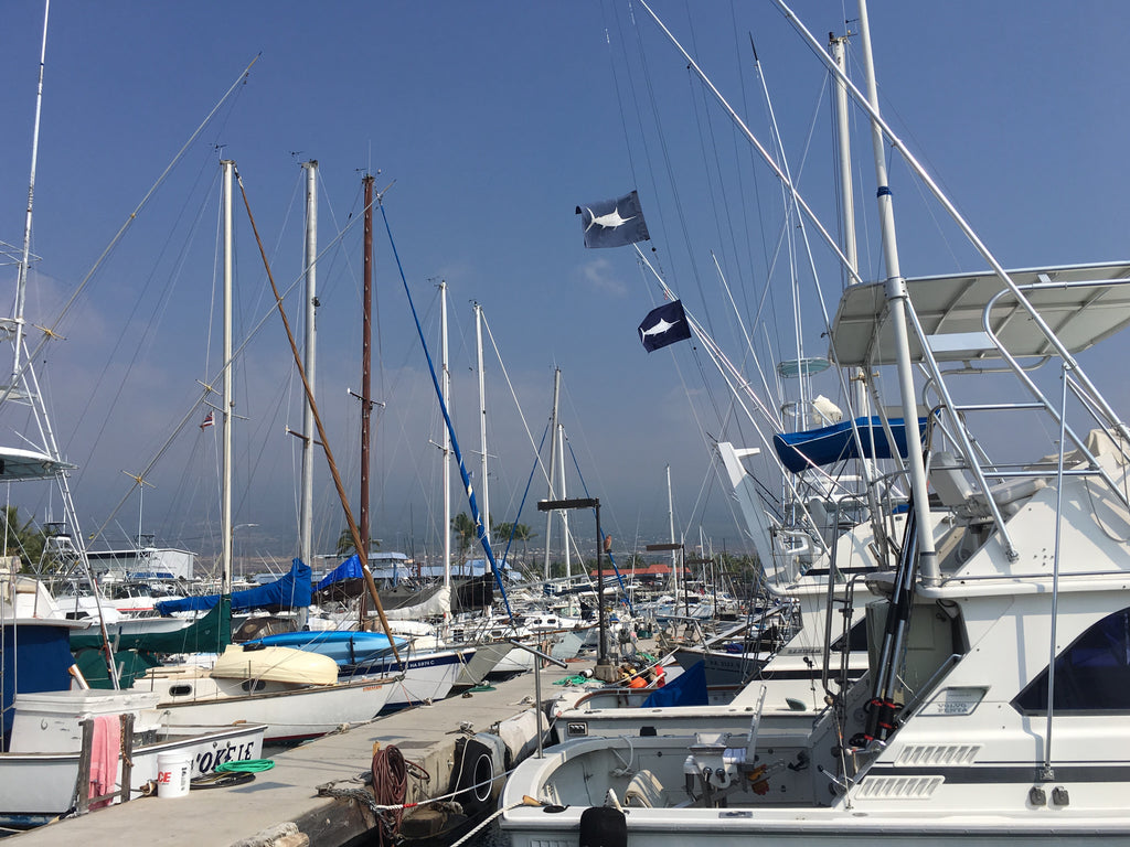 sundot marine flags flying honokohau harbor