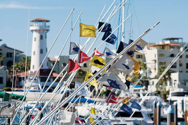 sundot marine capture flags flying worldwide