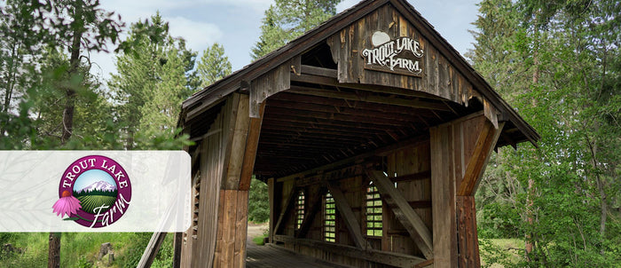 Old Wooden Bridge at Trout Lake Farms
