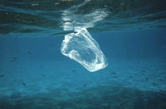 New Zealand and Plastic Bags