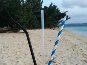 Plastic, PLA, paper and steel straws – what is the real difference?