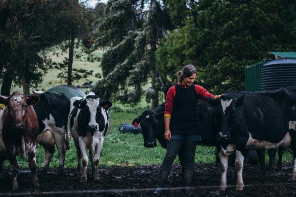 Community Supported Agriculture