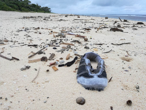 Beach Clean Up Photo - Anthea Madill