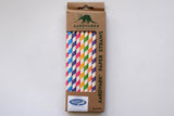 Standard Paper Straws - Party Pack