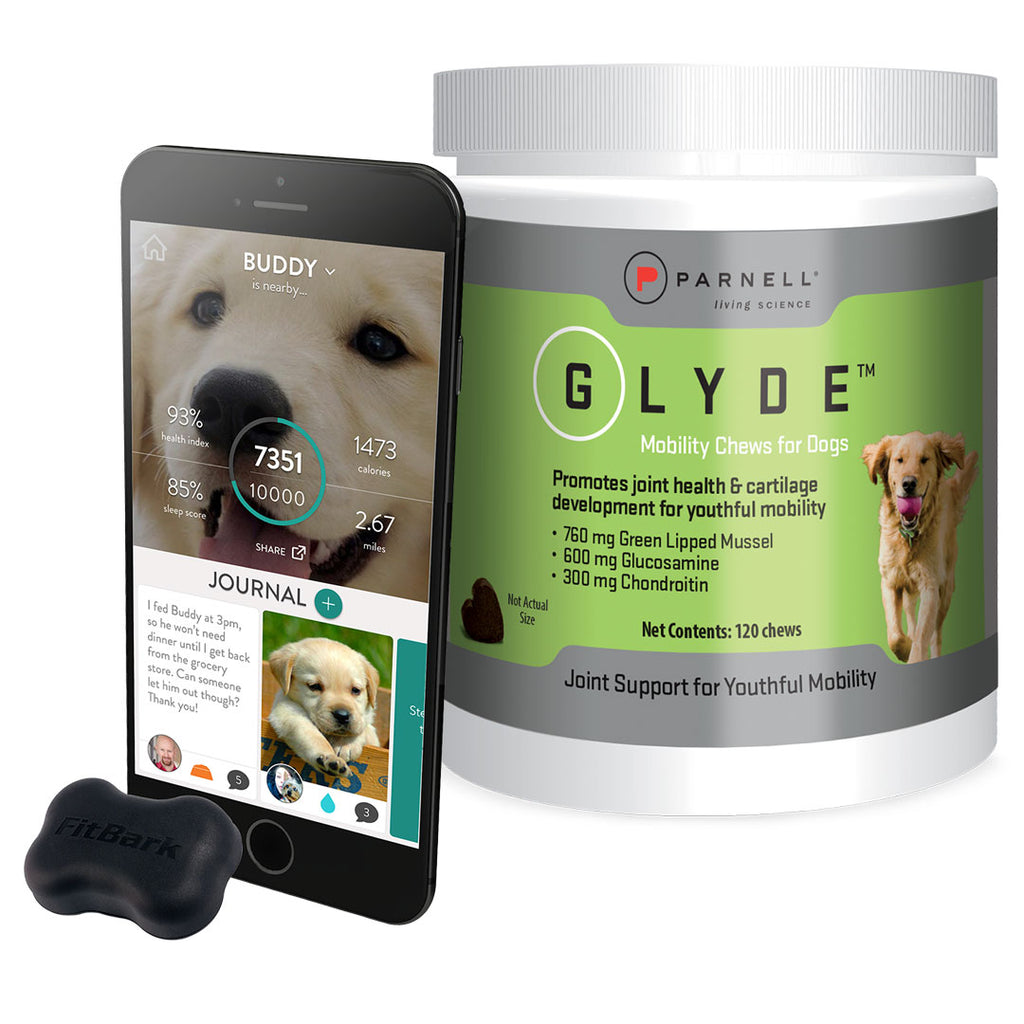 Glyde Mobility Chews for Dogs | Joint Supplement - Parnell Living Science