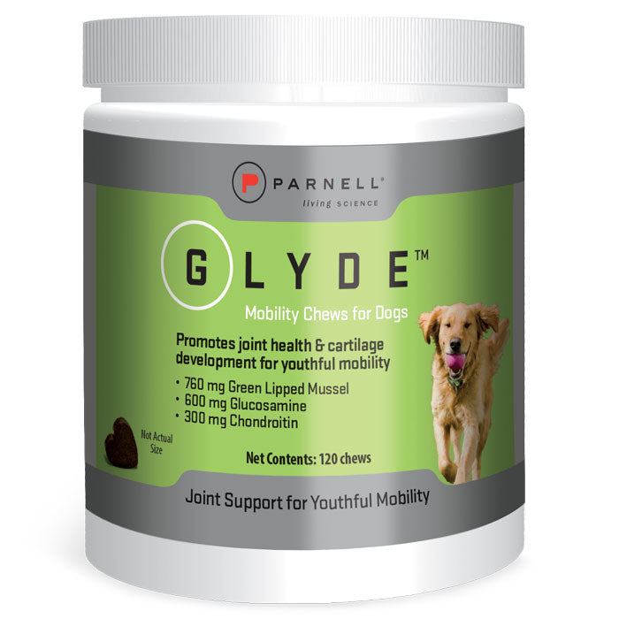 what is a good joint supplement for dogs