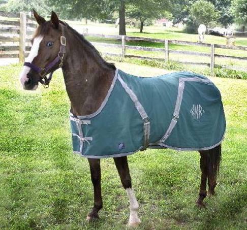 Custom Stable Blanket