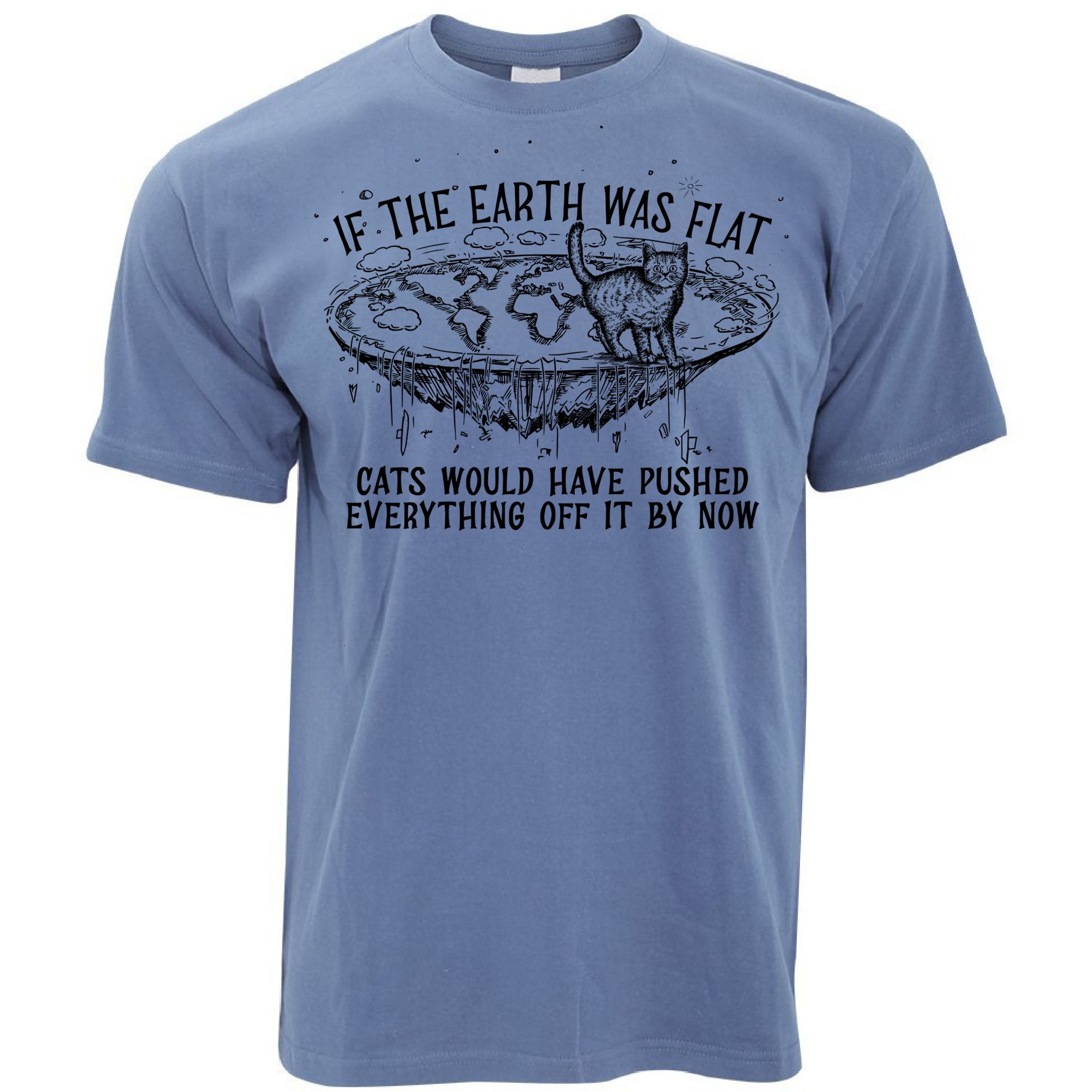 flat earth cat theory