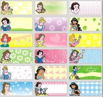 Medium Disney Princess Name Stickers – StickerPrint.sg