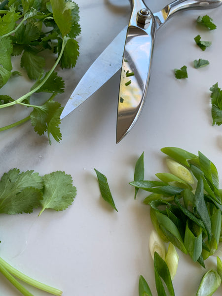 Kitchen Scissors 