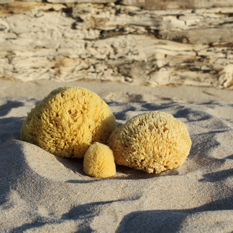 Silk Sea Sponges - Set of Two