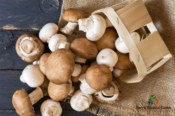 Health Benefits of Mushrooms | Gary's Vitamin Closet