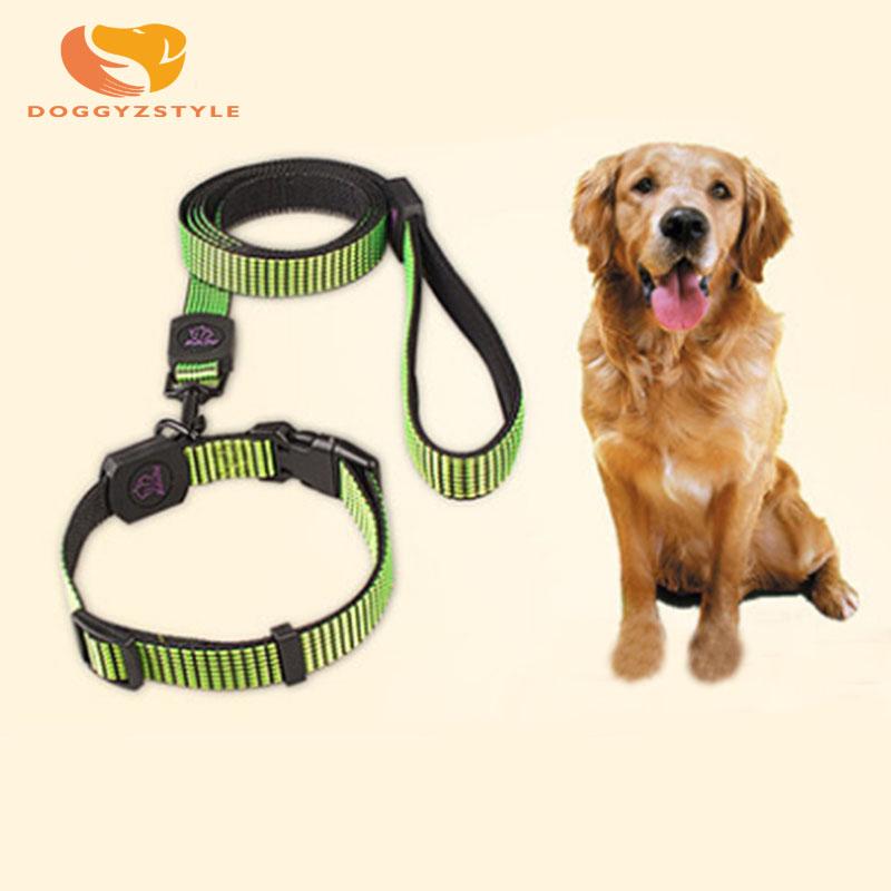 small dog harness and lead