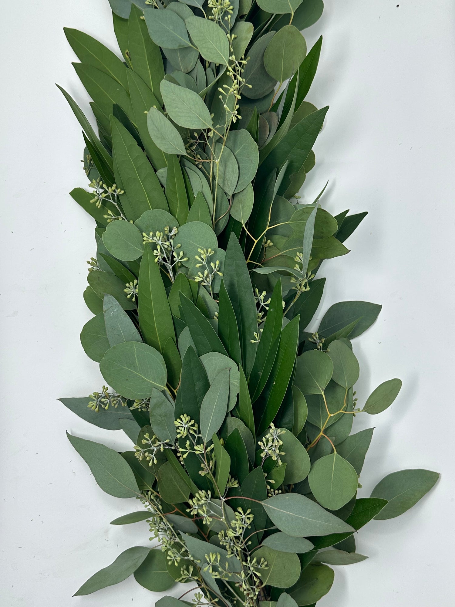 Olive, Podocarpus and Seeded Eucalyptus Garland