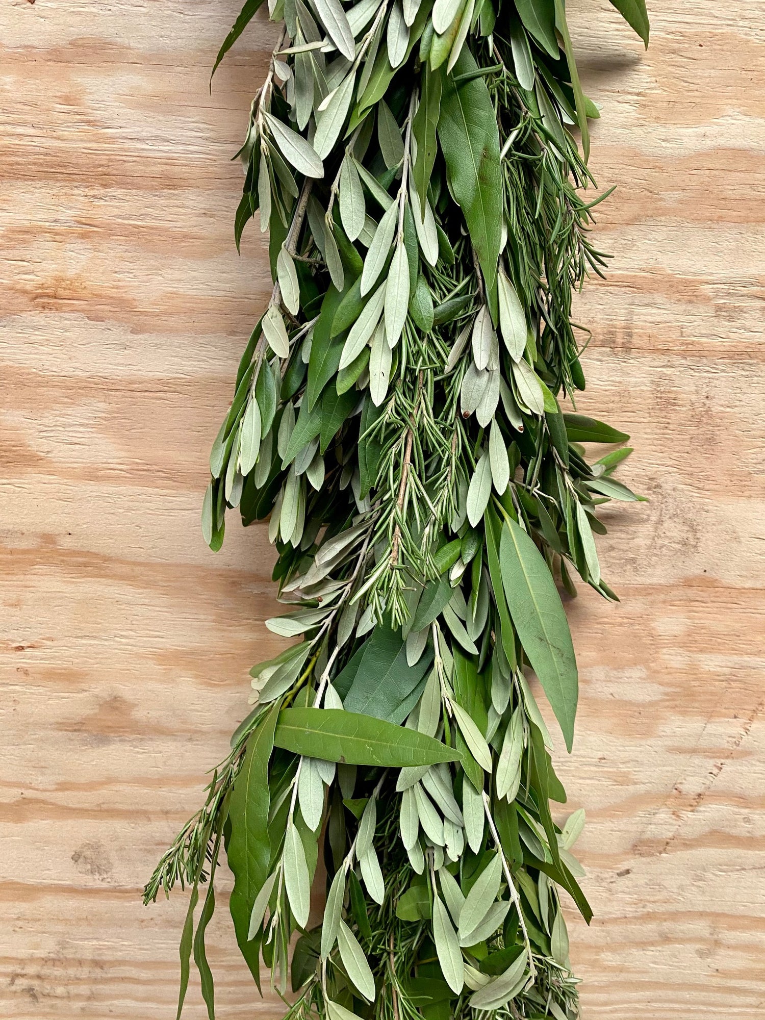 Primrue 72'' in. Fresh Bay Laurel Garland