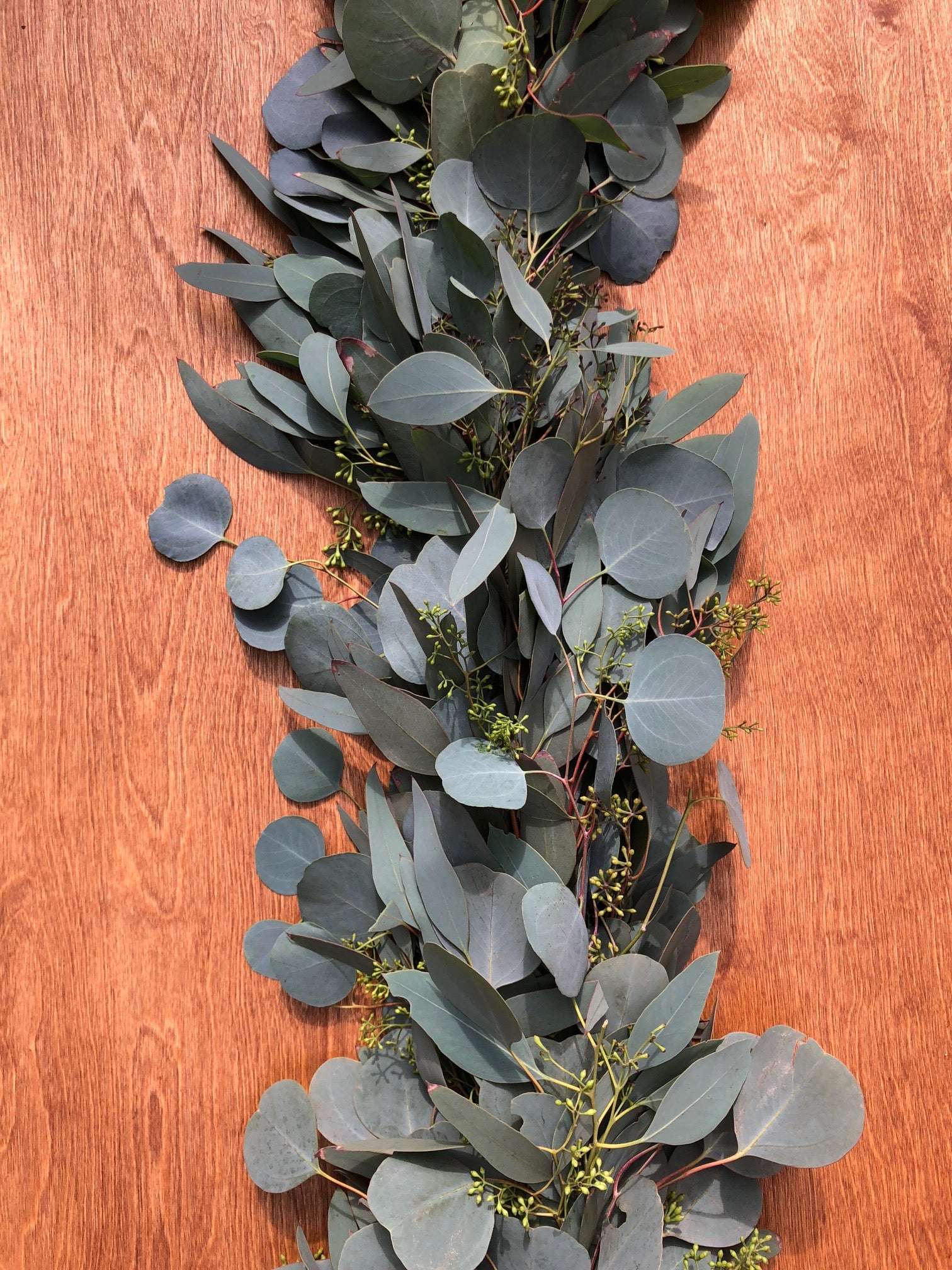 Seeded Eucalyptus and Silver Dollar Eucalyptus Garland The Garland Guy