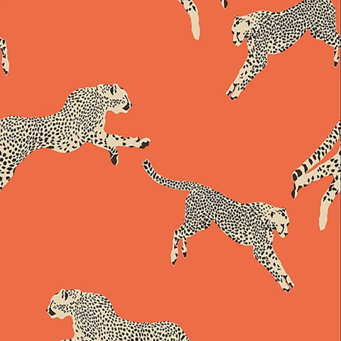 LEAPING CHEETAH CLEMENTINE SC 0002 WP88449