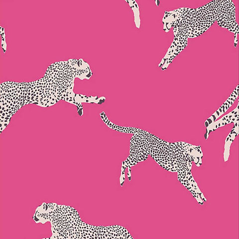 LEAPING CHEETAH BUBBLEGUM SC 0003 WP88449