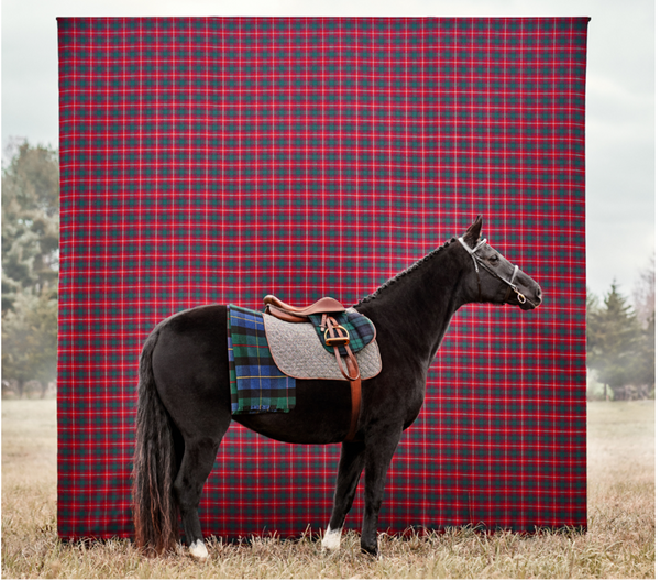 ralph lauren plaid fabrics