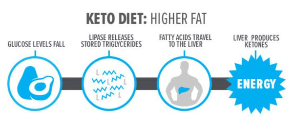 how does the ketogenic diet work
