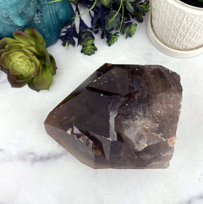 Large Alligator Smoky Quartz with decorations in the background