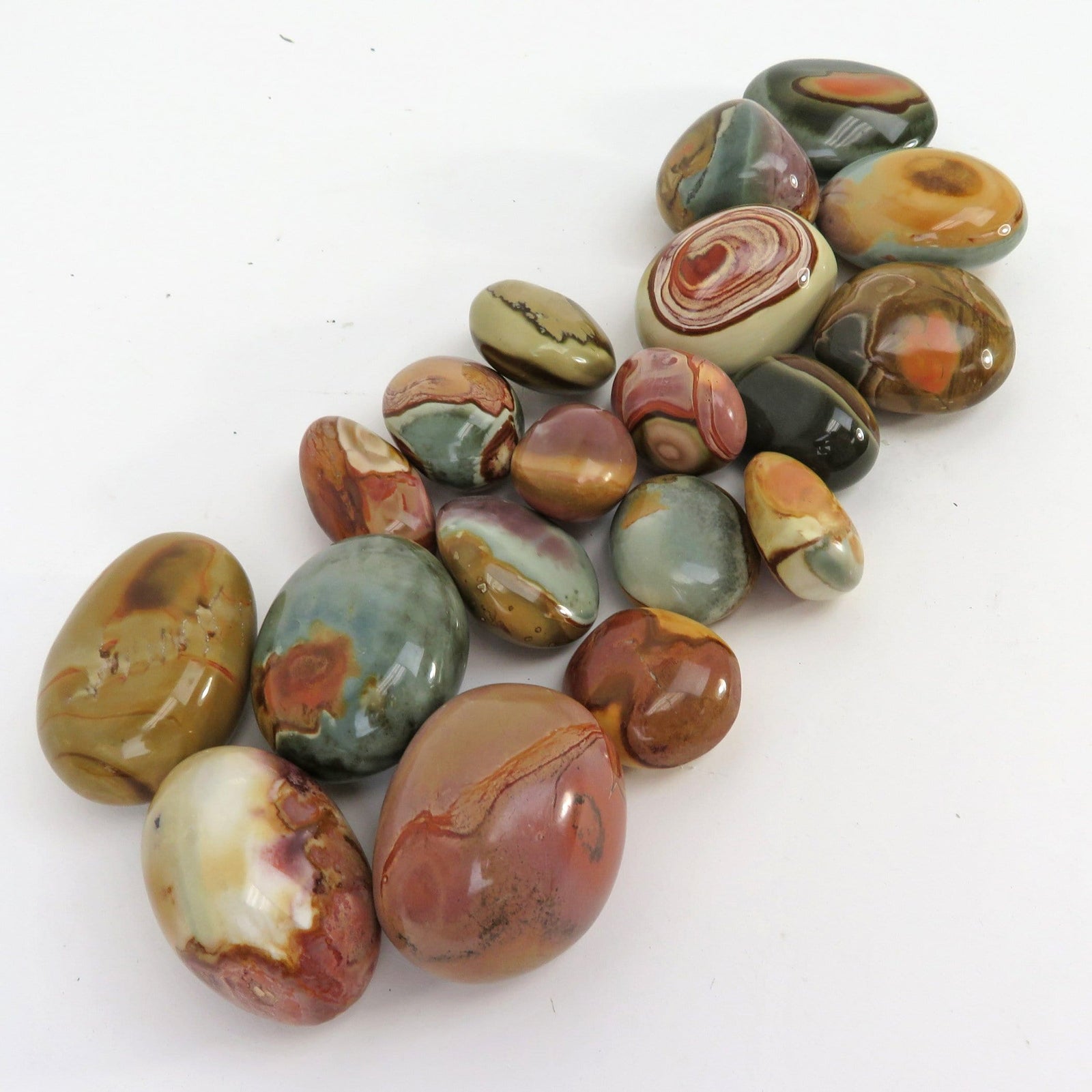 polychrome jasper brown