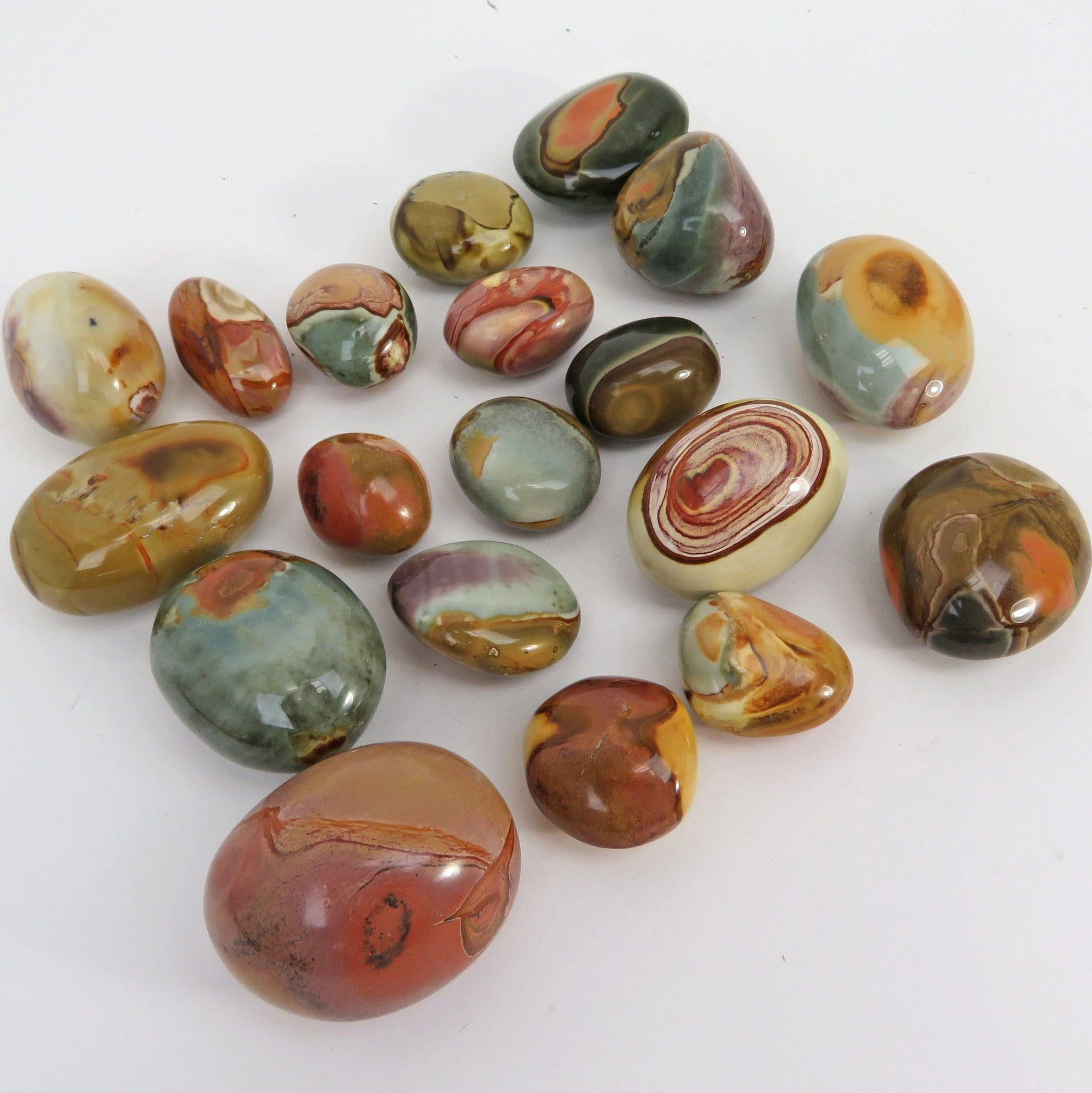 polychrome jasper utah