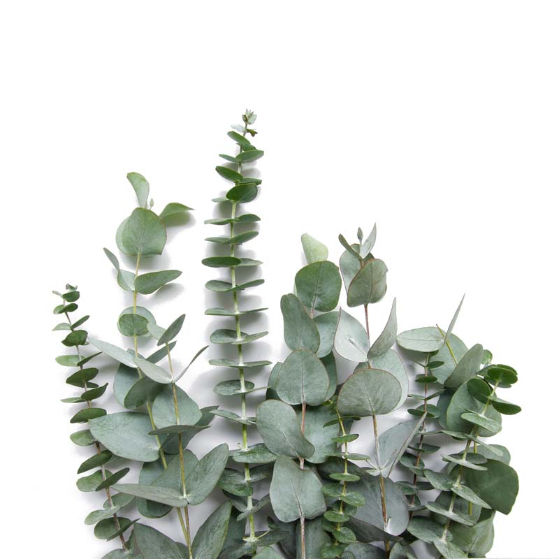 3 Pack - 13 Artificial Eucalyptus Bushes, Faux Greenery Spray, Fake E