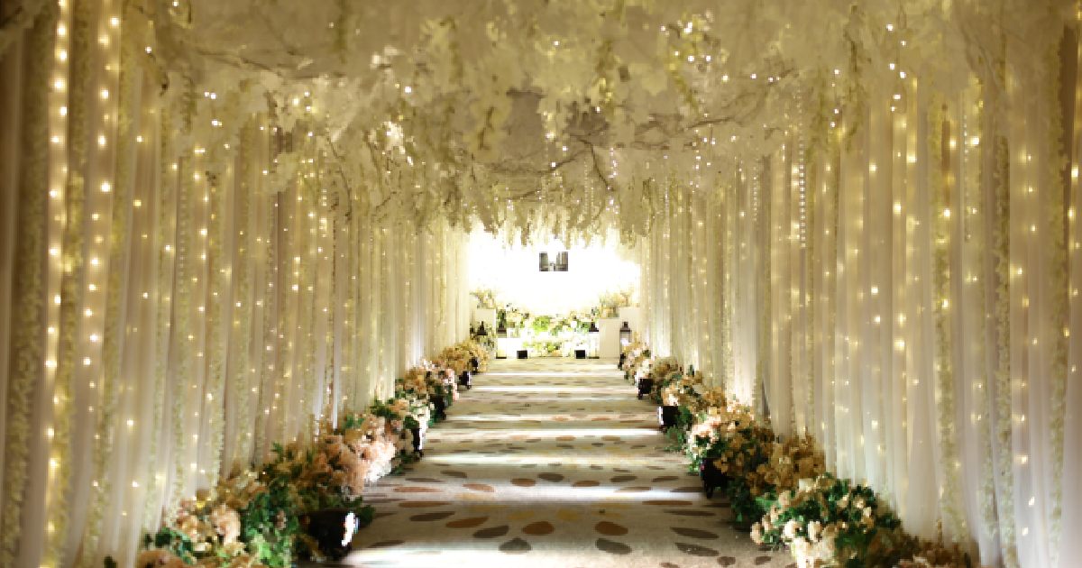 Enchanted walkway with fairy lights - best lights for party charm