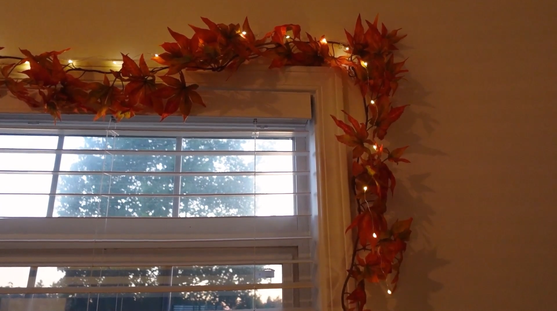 Fall leaves with string lights draped on the window