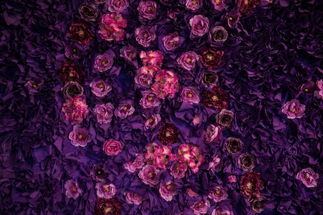 Purple and violet flower wall