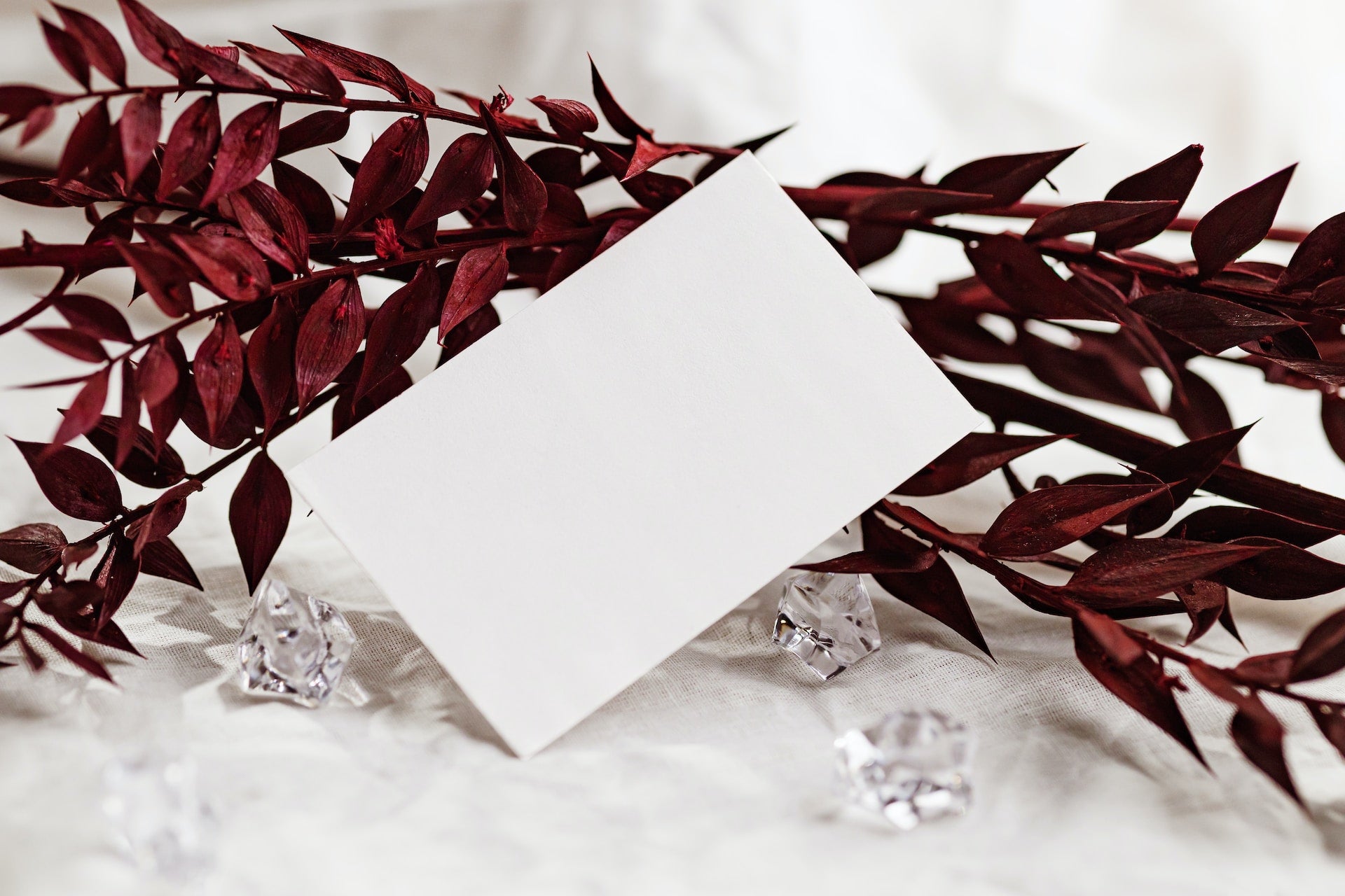 Blank white card with red leaves