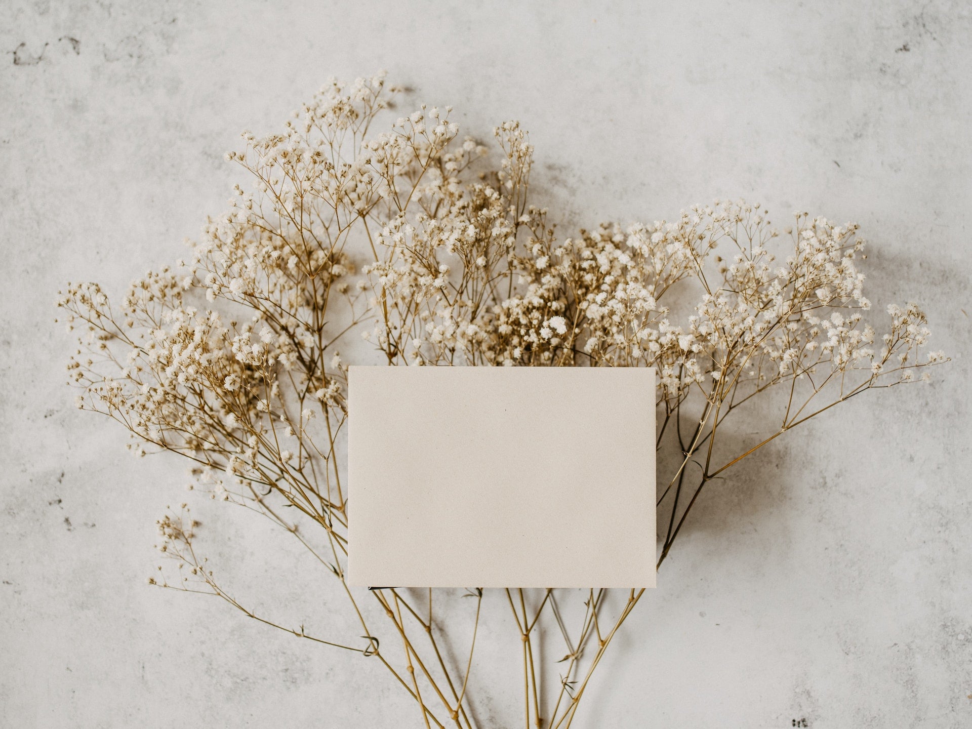 Blank card on top of dried flowers