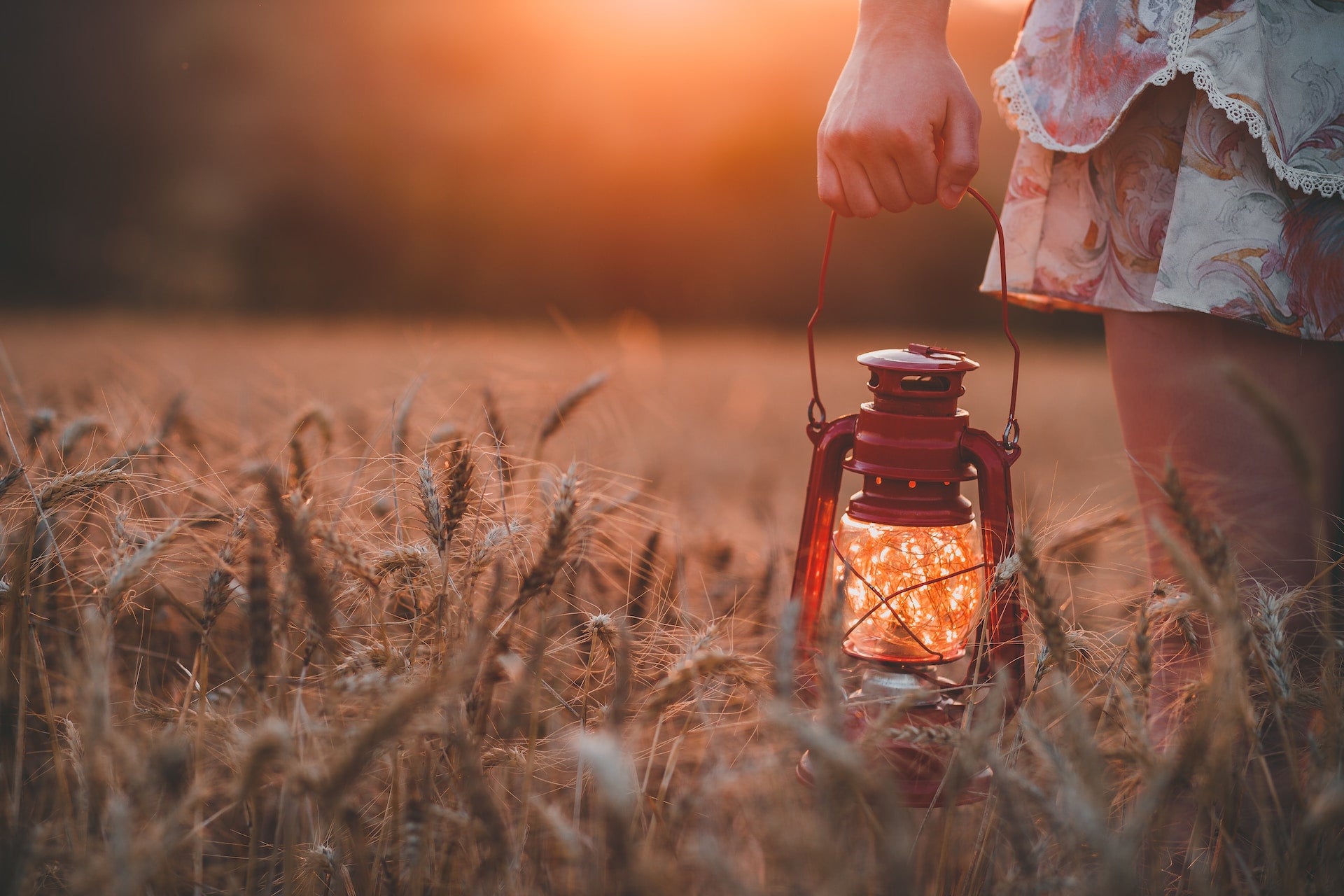 Person holding a lantern walking through a wheat field